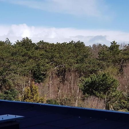 Haus Luv Und Lee, Moewennest Whg 26 Διαμέρισμα Sankt Peter-Ording Εξωτερικό φωτογραφία